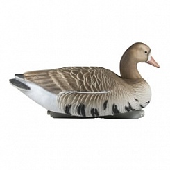   Tanglefree Specklebelly Geese   (2 , 2 )