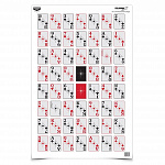 Мишень бумажная Birchwood Eze-Scorer™ 52 карты 5шт